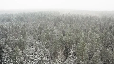 Winter background with forward parallax effect and real snowfall. Stock Footage 147987712