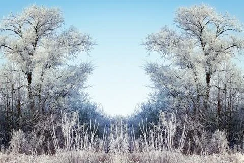 Winter background with icy branches in the foreground Stock-Fotos