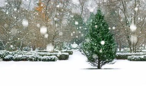 Winter background, landscape. Stock Photos