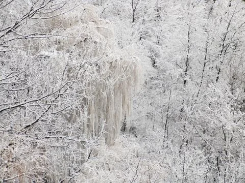 Winter background Stock Photos