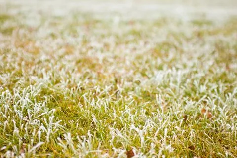 Winter background Stock Photos