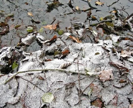 Winter background Stock Photos