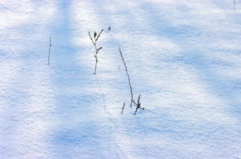 Winter background Stock Photos