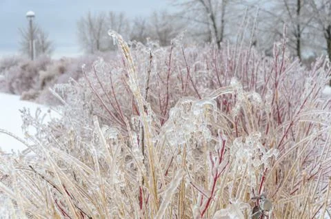 Winter background Stock Photos