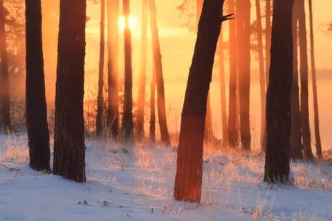 Winter background Stock-Fotos