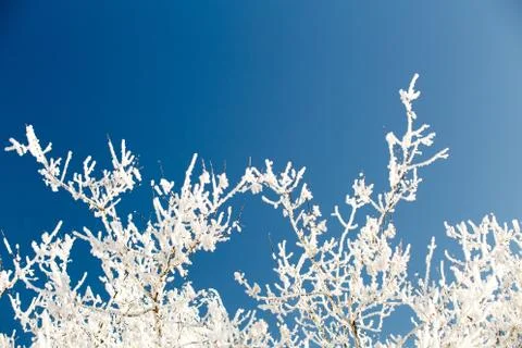 Winter background Stock-Fotos