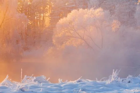 Winter background Stock Photos