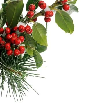 Winter background Stock Photos