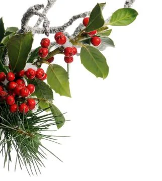 Winter background Stock Photos