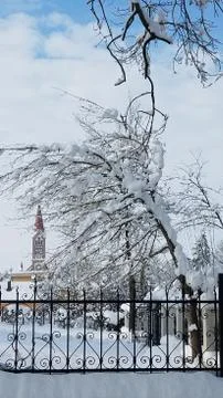 Winter background Stock Photos