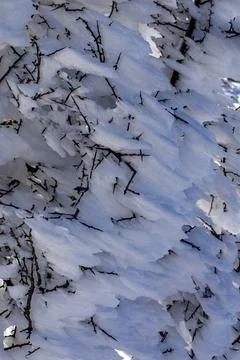Winter background Stock Photos