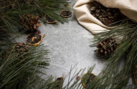 Winter background of pine cones and branches Stock Photos