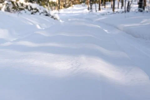 Winter background selective focus. Natural background, snow texture. Snowy fo Stock Photos