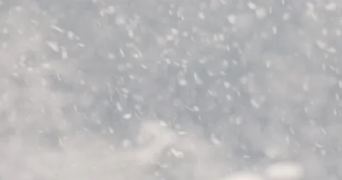 Winter background. snowfall in the forest. copy space Stock Footage 148917662