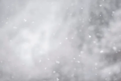 Winter background with snowflakes Stock Photos