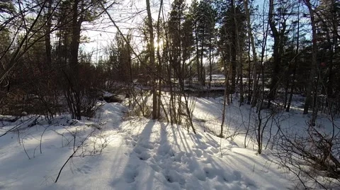 Winter Background Snowy River and Sun Video stock 51943547