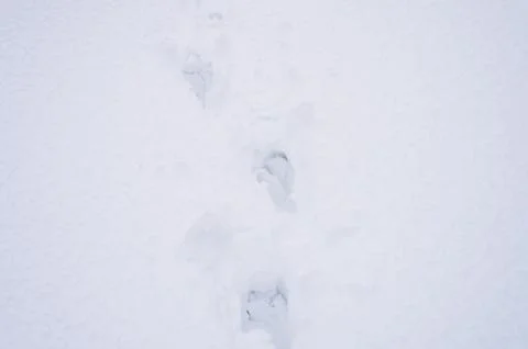 Winter background texture fresh snow surface covering ground and footprint fr Stock Photos