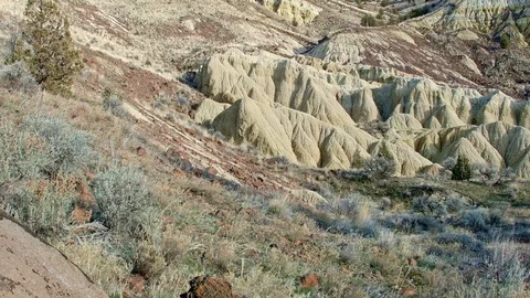 Winter Badlands formations John Day fossil beds Sutton mountain Painted Hills Stock Footage 81971573