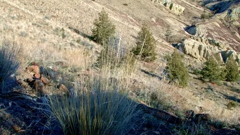 Winter Badlands formations John Day fossil beds Sutton mountain 2 Painted Hills Stock Footage 82039414