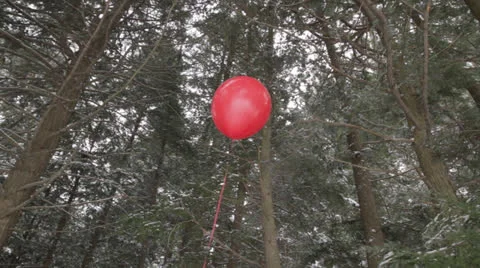 Winter Balloon Stock Footage 24471416