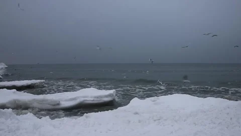 Winter Baltic Sea Vídeo Stock 330373727