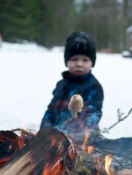 Winter barbecue Stock Photos