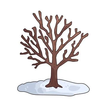 Winter bare tree illustration Stock Illustration