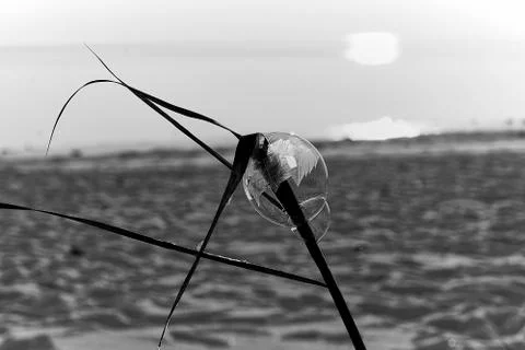 Winter in Bavaria Stock Photos