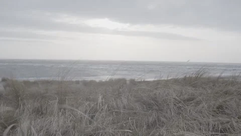 In Winter at the Beach in Denmark / cinematic video Stock Footage 173079232