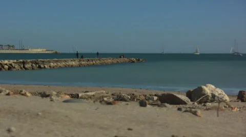 Winter at the beach Vidéo 636731