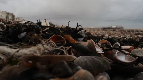 Winter Beach Stock Footage 134259939