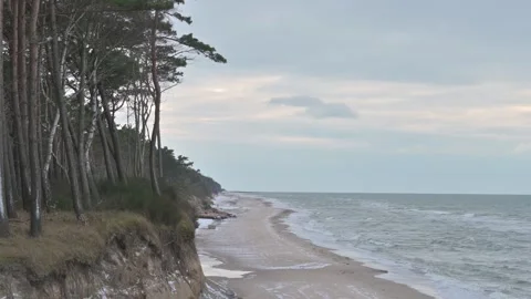 Winter Beach Landscape with Coastal Forest 스톡 동영상 302307337