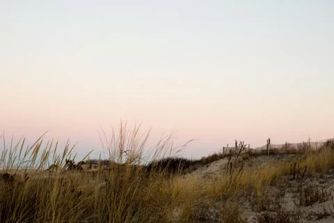 Winter beach landscape Stock Photos