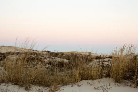 Winter beach landscape  Stock Photos