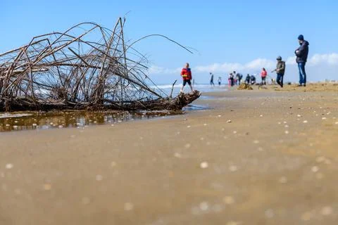 Winter at the beach Stock Photos