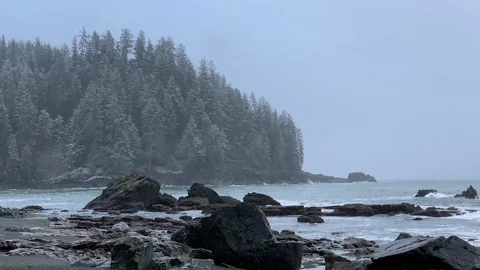 Winter Beautiful Beach Snow Canada Pacific Northwest Scenic British Columbia Stock Footage 120811005