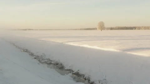 Winter beautiful landscape with trees covered with hoarfrost and fog Stock Footage 231604455