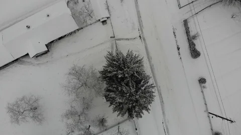 Winter beauty. Earth is covered with snow. Smooth fly down with rotation on one Stock Footage