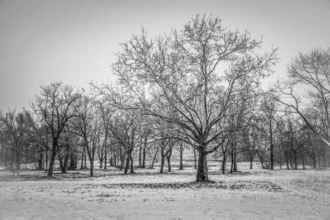 Winter in Belgrade Stock Photos