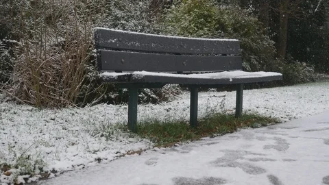 Winter. A bench in the park. It's snowing. Stock Footage 83294604