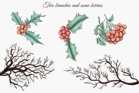 Winter berries and tree branches home decor elements Stock Illustration