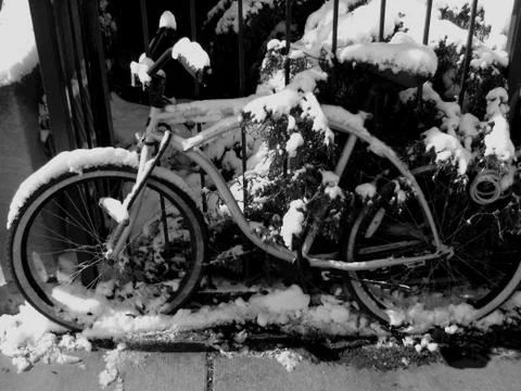 Winter bicycle Wicker Park Chicago Il Stock Photos