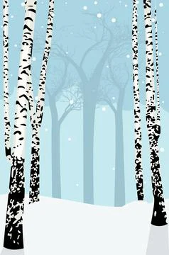 Winter birch trees Stock-Illustration