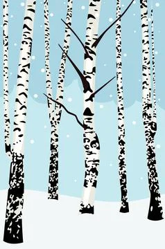 Winter birch trees Stock-Illustration