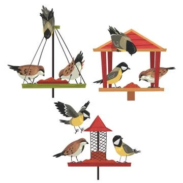 Winter Bird Feeder with Chickadees and Titmouses, Northern Birds Feeding by Stock-Illustration
