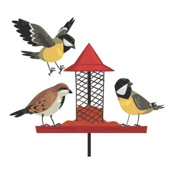 Winter Bird Feeder with Cute Titmouses and Sparrows, Northern Birds Feeding by Stock-Illustration