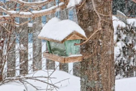 Winter bird feeder Stock Photos