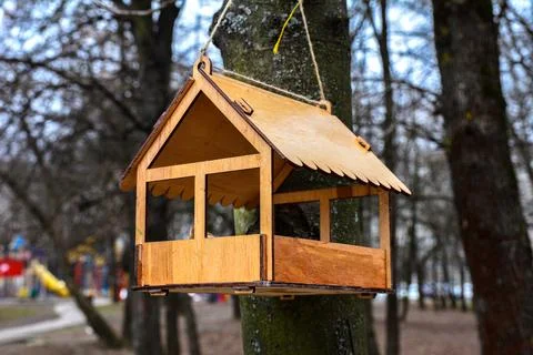 Winter bird feeder on the tree. Foto stock