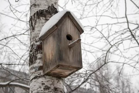 Winter bird house. Stock Photos