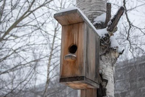 Winter bird house. Stock Photos
